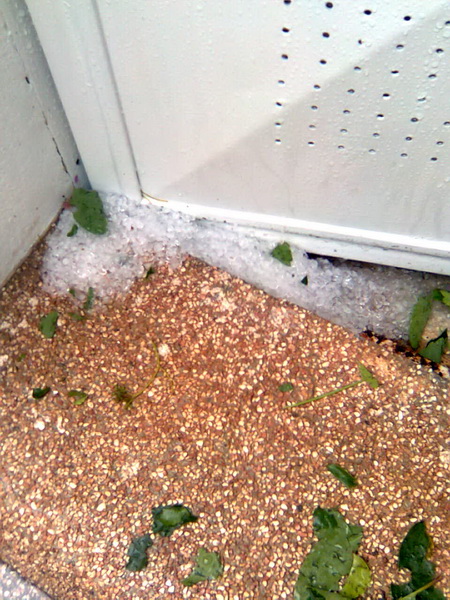 Pijavica s gradom poharala Dolaske Drage, Foto: Maria Dell’Orco Pijavica s gradom poharala Dolaske Drage, Foto: Maria Dell’Orco