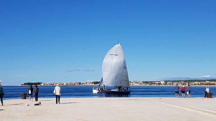 Zadarska Koka 2016. 22. listopada 2016. Foto: Mladen Malik Zadarska Koka 2016. 22. listopada 2016. Foto: Mladen Malik