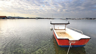 Image 848699 (auto)
