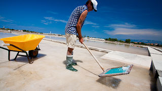 Solana Nin, berba soli, foto: Leo Banić