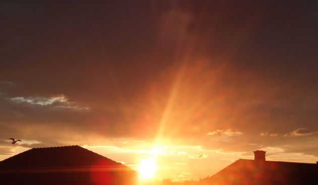 Izlazak sunca na Ugljanu (Foto:Jasna Marcelić)
