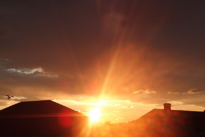 Izlazak sunca na Ugljanu (Foto:Jasna Marcelić)