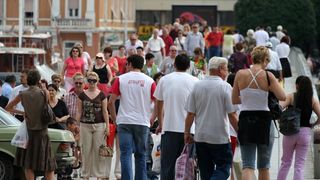 Image 1200519 (auto)