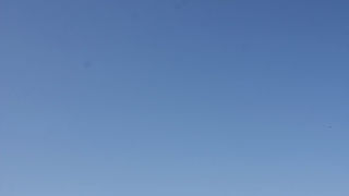 Državno prvenstvo u padobranstvu