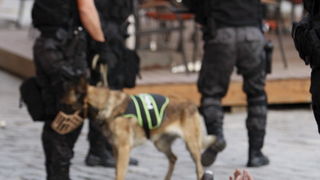 Temisvar, Rumunjska, 011009.
Na jednom od gradskih trgova doslo je do sukoba izmedju navijaca Dinama i rumunjskih navijaca pred utakmicu Temisvar – Dinamo. Policija je nerede vrlo brzo ugusila.
Foto: CROPIX Temisvar, Rumunjska, 011009.
Na jednom od gradskih trgova doslo je do sukoba izmedju navijaca Dinama i rumunjskih navijaca pred utakmicu Temisvar – Dinamo. Policija je nerede vrlo brzo ugusila.
Foto: CROPIX