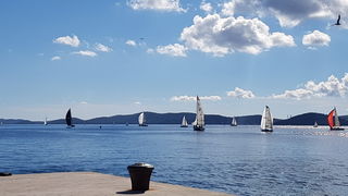 Zadarska Koka 2016. 22. listopada 2016. Foto: Mladen Malik Zadarska Koka 2016. 22. listopada 2016. Foto: Mladen Malik