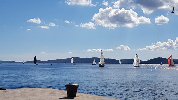 Zadarska Koka 2016. 22. listopada 2016. Foto: Mladen Malik Zadarska Koka 2016. 22. listopada 2016. Foto: Mladen Malik