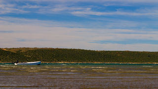 Image 1194611 (auto)