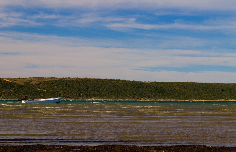 Image 1194611 (auto)