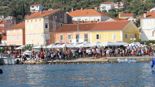 40. Plivački maraton Preko-Zadar, Foto: Edin Kadić 40. Plivački maraton Preko-Zadar, Foto: Edin Kadić