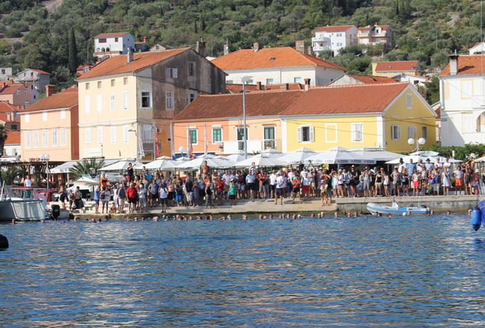 40. Plivački maraton Preko-Zadar, Foto: Edin Kadić 40. Plivački maraton Preko-Zadar, Foto: Edin Kadić