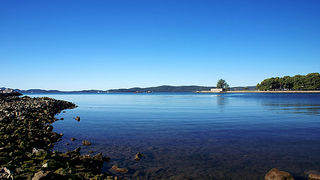 Image 1194627 (auto)