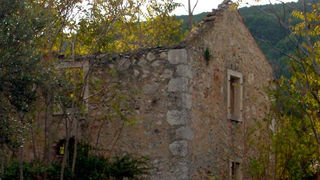 Image 1190447 (auto)