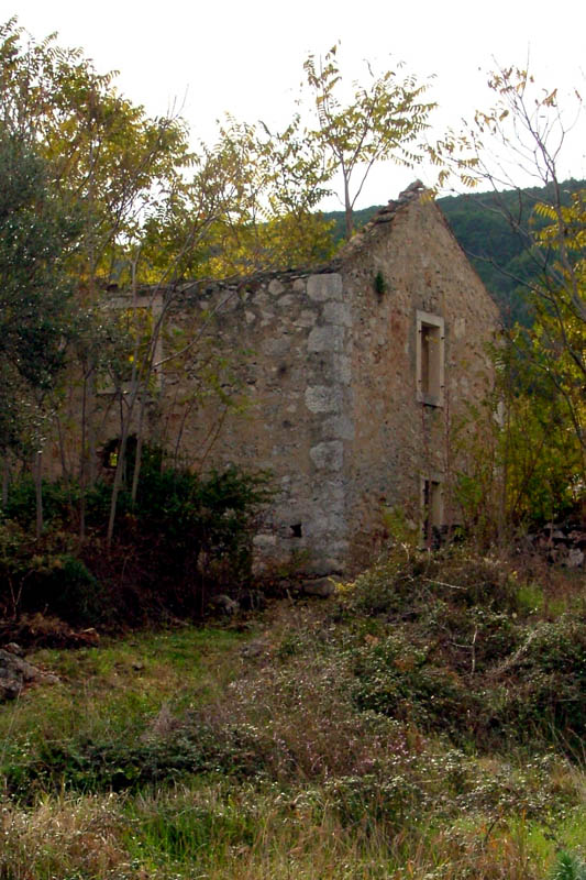 Image 1190447 (auto)