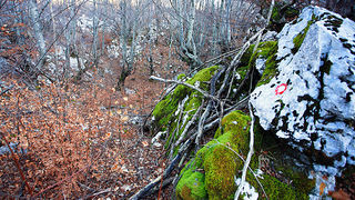 Uspon na Bojin Kuk i pogled na Italiju, Foto: Leo Banić Uspon na Bojin Kuk i pogled na Italiju, Foto: Leo Banić