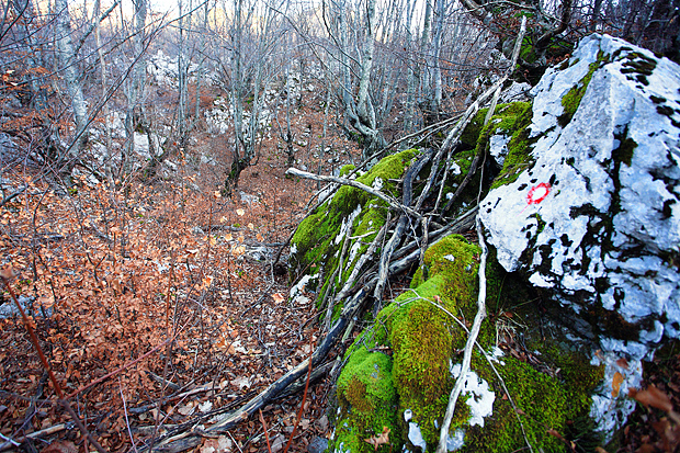 Uspon na Bojin Kuk i pogled na Italiju, Foto: Leo Banić Uspon na Bojin Kuk i pogled na Italiju, Foto: Leo Banić