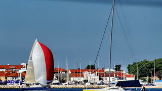 Regata Zadarska Koka 2015. Regata Zadarska Koka 2015.