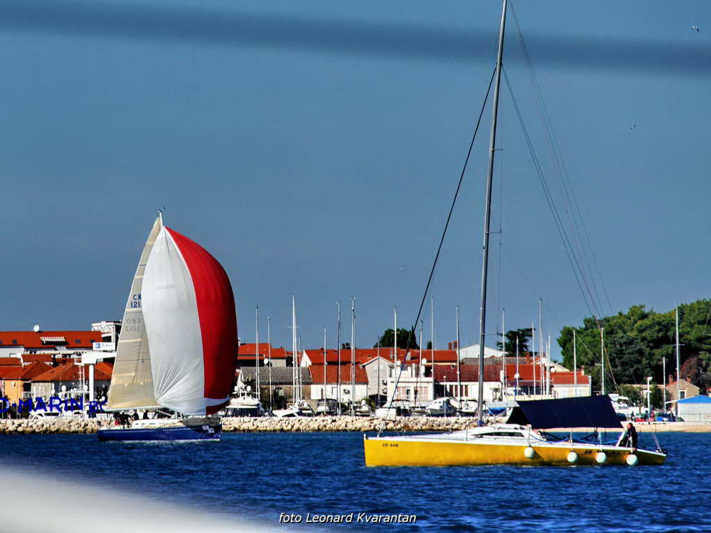Regata Zadarska Koka 2015. Regata Zadarska Koka 2015.