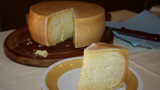 11. Izložba ovčjih i kozjih sireva