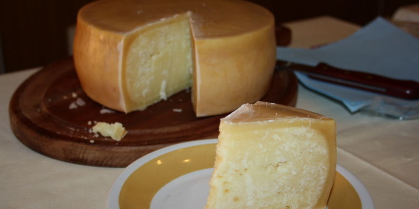 11. Izložba ovčjih i kozjih sireva 11. Izložba ovčjih i kozjih sireva