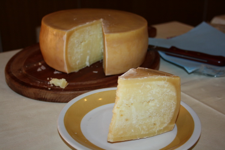 11. Izložba ovčjih i kozjih sireva