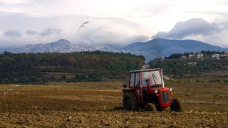 Krajolici zadarskog zaledja