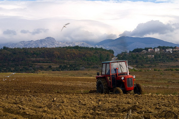 Krajolici zadarskog zaledja