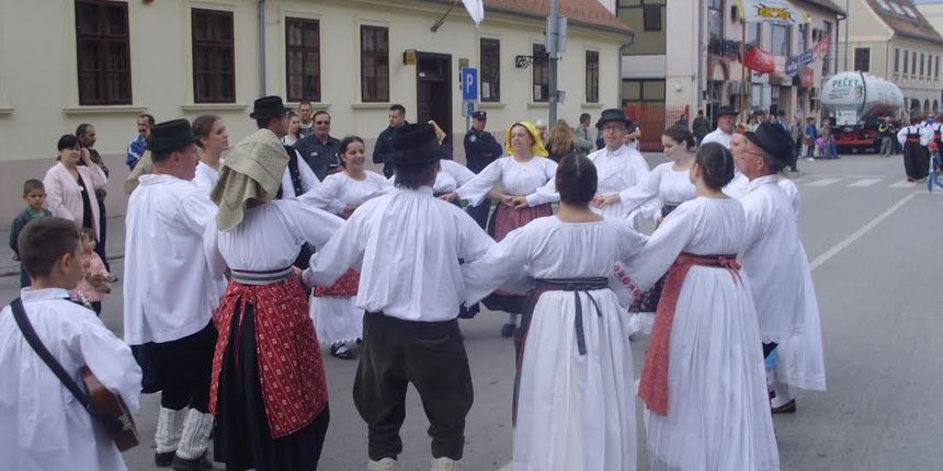 Svečani mimohod 50. Vinkovačkih jeseni