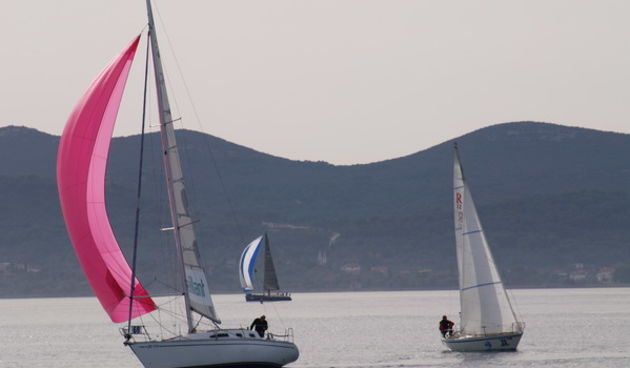 Zadar more, Zadarska Koka 2007.