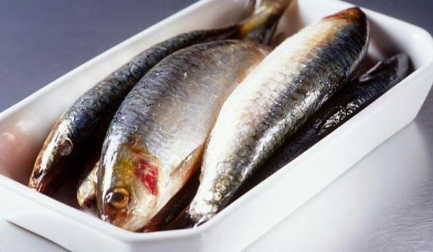 Sardine, foto: www.bbc.co.uk