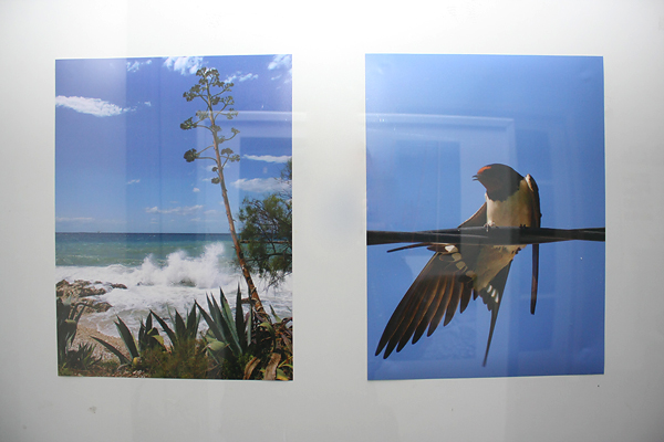 Izložba fotografija Vedrana Penge