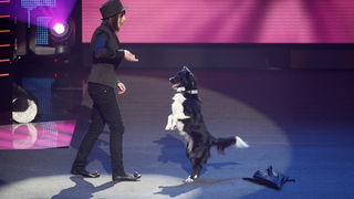 Zagreb, 191110. 
Studio 2 Jadran filma, Oporovecka 12.
Treca polufinalna emisija Supertalent showa Nove TV. 
Na slici: Maja Terzic i Nessa – jedna od dvije pobjednice.
Foto: Nina Djurdjevic / CROPIX