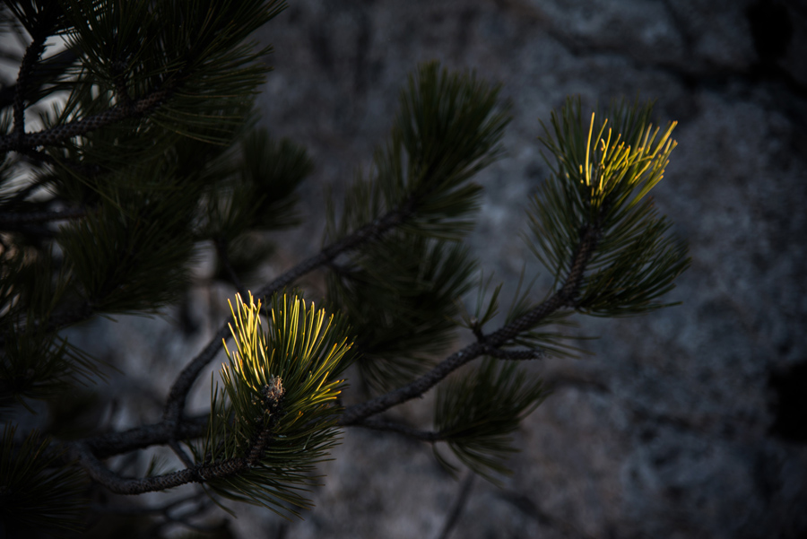 Od Velikog Rujna, preko Rujanske kose do Višerujna…