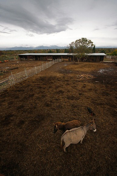 Farma “Dar-mar” (foto:Saša Čuka)