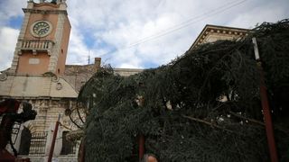 25.11.2013., Zadar – Na Narodnom trgu postavljena je jelka koja ce do prvog mjeseca 2014. krasiti najfrekventnije mjesto u centru grada. Photo: Filip Brala/PIXSELL Autor Filip Brala/PIXSELL KLJUČNE RIJEČI Narodni trg, bor, Jelka, Bozicni ugodjaj, bozi 25.11.2013., Zadar – Na Narodnom trgu postavljena je jelka koja ce do prvog mjeseca 2014. krasiti najfrekventnije mjesto u centru grada. Photo: Filip Brala/PIXSELL Autor Filip Brala/PIXSELL KLJUČNE RIJEČI Narodni trg, bor, Jelka, Bozicni ugodjaj, bozi