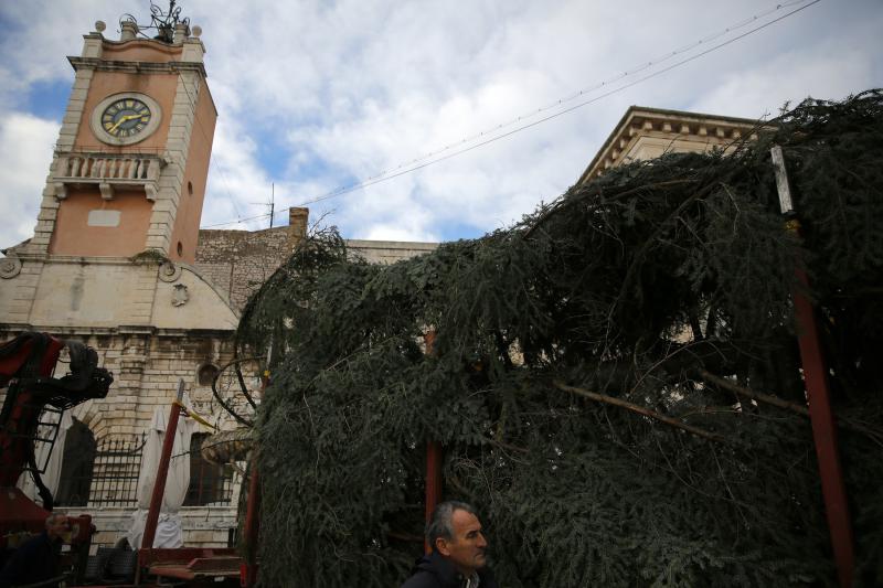 25.11.2013., Zadar – Na Narodnom trgu postavljena je jelka koja ce do prvog mjeseca 2014. krasiti najfrekventnije mjesto u centru grada. Photo: Filip Brala/PIXSELL Autor Filip Brala/PIXSELL KLJUČNE RIJEČI Narodni trg, bor, Jelka, Bozicni ugodjaj, bozi 25.11.2013., Zadar – Na Narodnom trgu postavljena je jelka koja ce do prvog mjeseca 2014. krasiti najfrekventnije mjesto u centru grada. Photo: Filip Brala/PIXSELL Autor Filip Brala/PIXSELL KLJUČNE RIJEČI Narodni trg, bor, Jelka, Bozicni ugodjaj, bozi