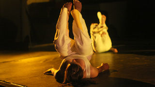 “Colour” Zadarskog plesnog ansambla (Foto:Saša Čuka)