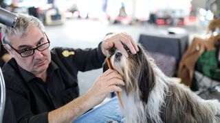 Izložba pasa na Zagrebačkom velesajmu Izložba pasa na Zagrebačkom velesajmu