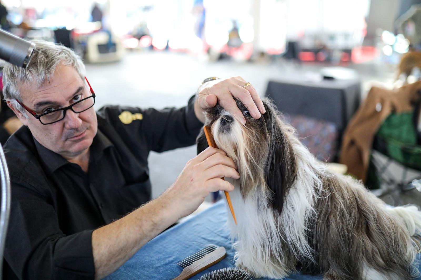 Izložba pasa na Zagrebačkom velesajmu Izložba pasa na Zagrebačkom velesajmu