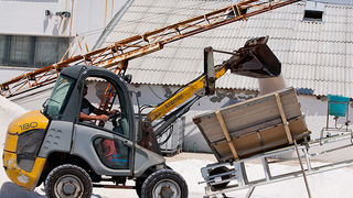 Solana Nin, berba soli, foto: Leo Banić