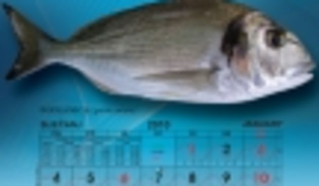 ribarski kalendar