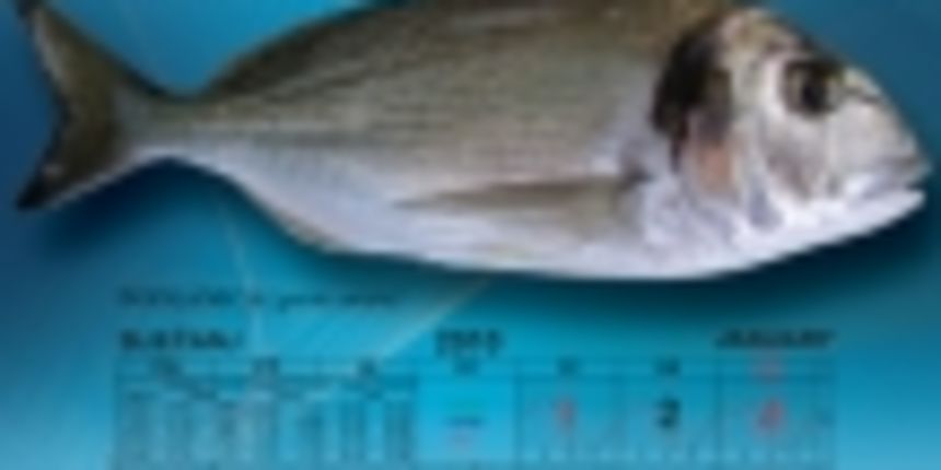 ribarski kalendar ribarski kalendar