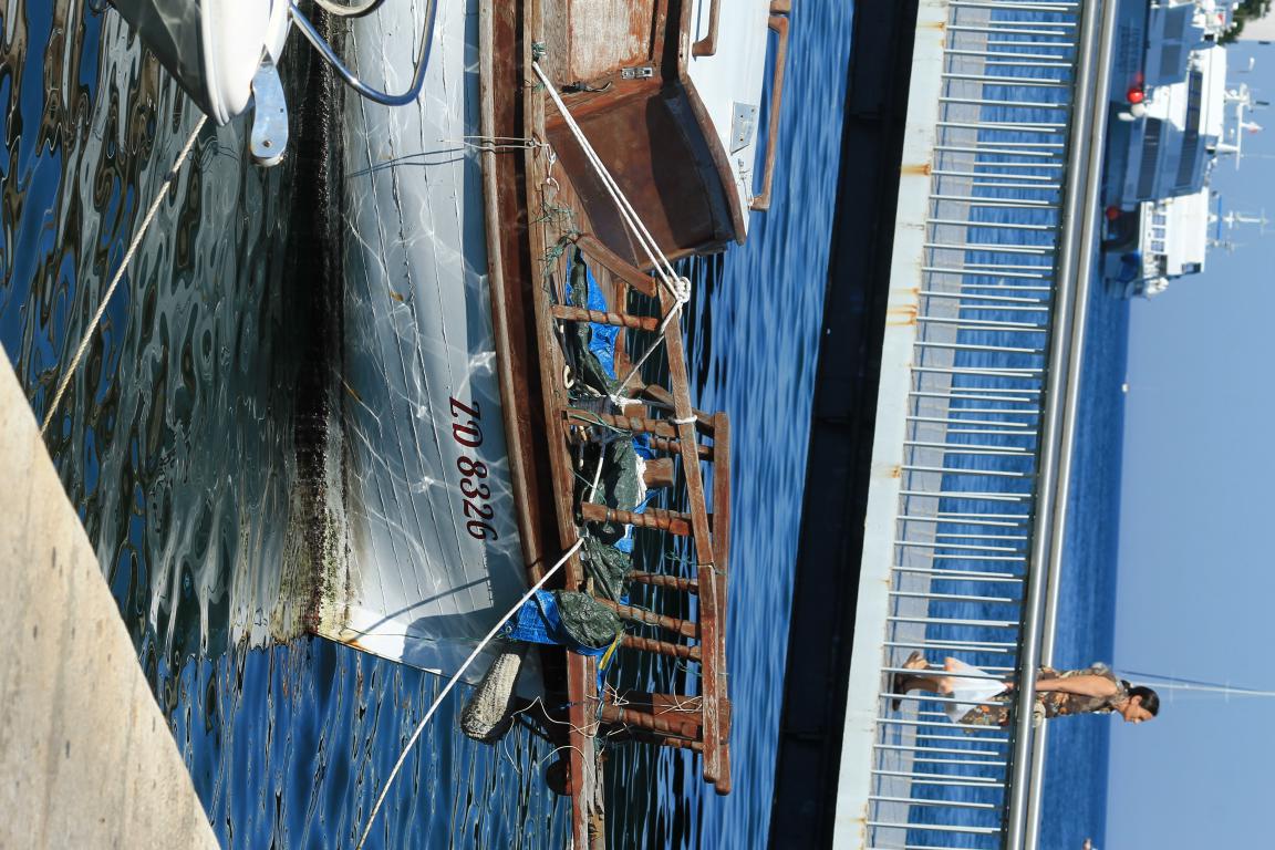 Đir po gradu 3. rujna 2016.