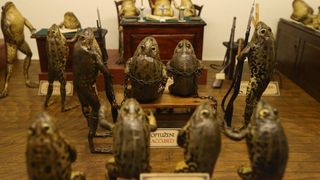 Zbirka od 500-tinjak prepariranih zaba u ljudskim situacijama, smjestena u bivsem kinu Tesla, prema rijecima vlasnika Ivana Medveseka, ne naliazi na dovoljno zanimanje institucija RH pa bi uskoro trebala preseliti u London. Photo: Ivo Cagalj/PIXSELL Zbirka od 500-tinjak prepariranih zaba u ljudskim situacijama, smjestena u bivsem kinu Tesla, prema rijecima vlasnika Ivana Medveseka, ne naliazi na dovoljno zanimanje institucija RH pa bi uskoro trebala preseliti u London. Photo: Ivo Cagalj/PIXSELL