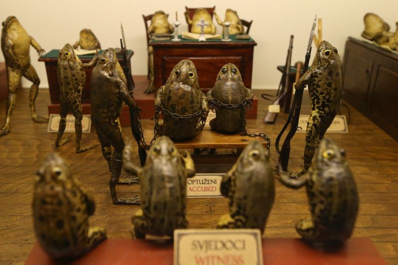 Zbirka od 500-tinjak prepariranih zaba u ljudskim situacijama, smjestena u bivsem kinu Tesla, prema rijecima vlasnika Ivana Medveseka, ne naliazi na dovoljno zanimanje institucija RH pa bi uskoro trebala preseliti u London. Photo: Ivo Cagalj/PIXSELL Zbirka od 500-tinjak prepariranih zaba u ljudskim situacijama, smjestena u bivsem kinu Tesla, prema rijecima vlasnika Ivana Medveseka, ne naliazi na dovoljno zanimanje institucija RH pa bi uskoro trebala preseliti u London. Photo: Ivo Cagalj/PIXSELL