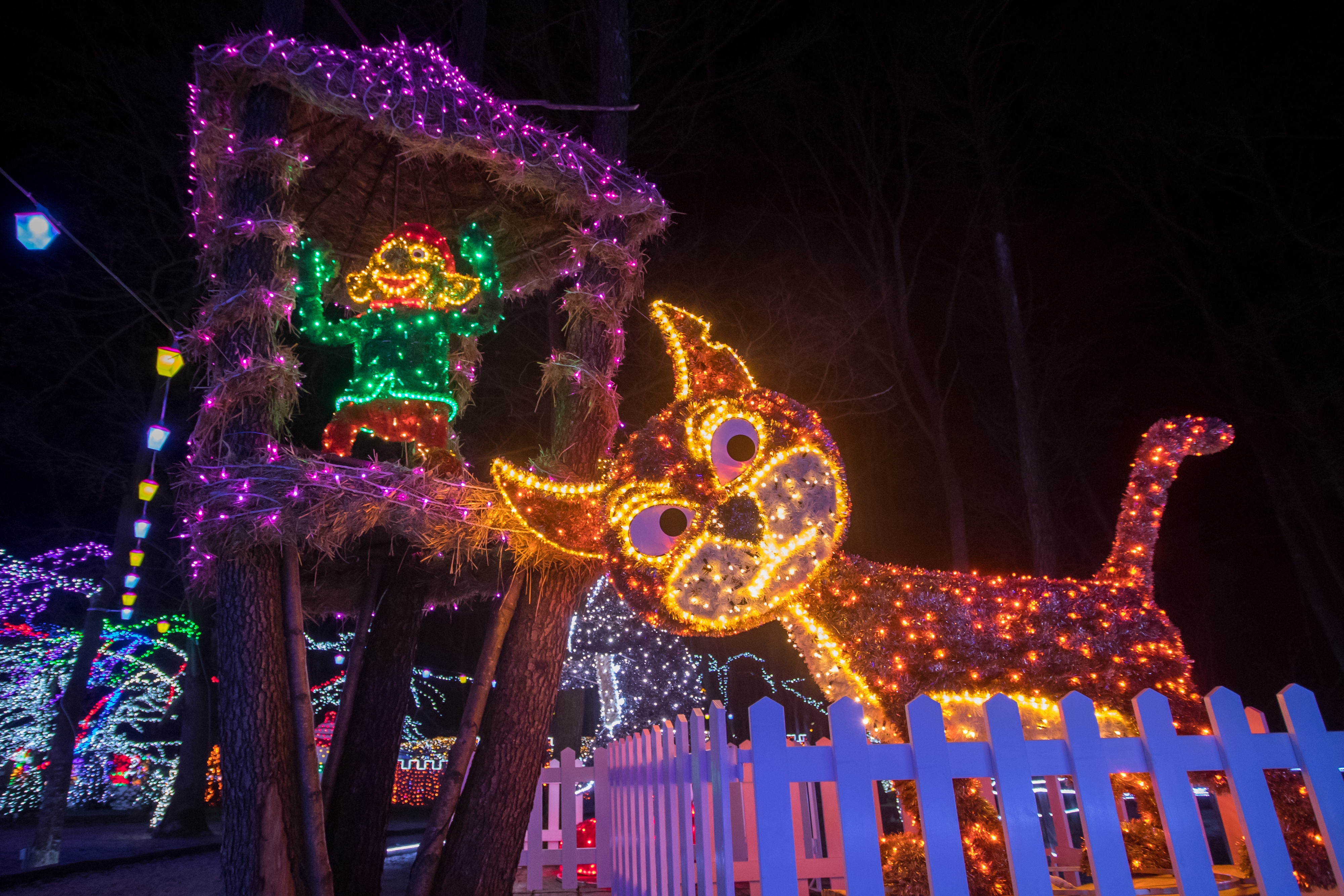 Još raskošnije izdanje: pogledajte kako izgleda Božićna priča obitelji Salaj gdje je ove godine zasjalo rekordnih 2.5 milijuna lampica