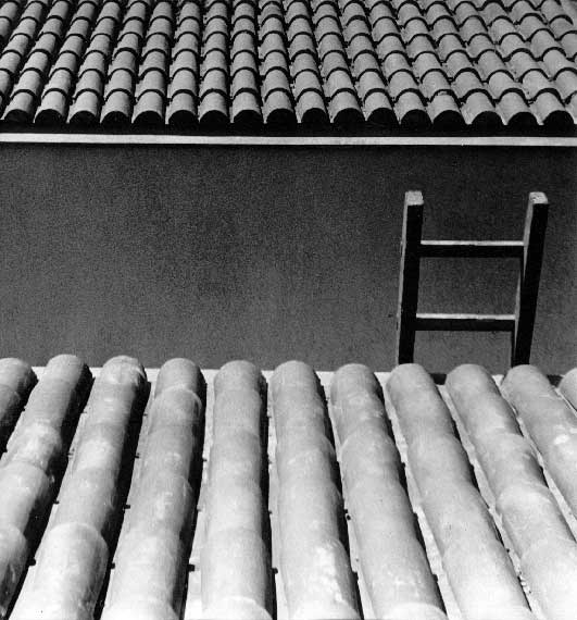 Braća Brkan: Slike sna i svjetlosti Braća Brkan: Slike sna i svjetlosti