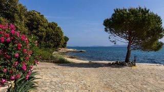 Nedjeljnja šetnja od Dikla do Pinije, Foto: Mladen Radolović Mrlja Nedjeljnja šetnja od Dikla do Pinije, Foto: Mladen Radolović Mrlja