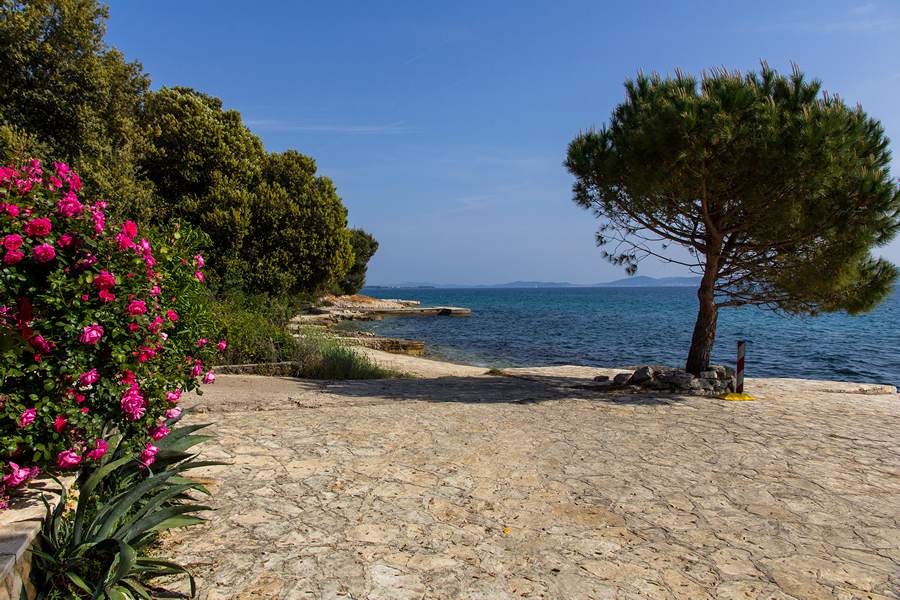 Nedjeljnja šetnja od Dikla do Pinije, Foto: Mladen Radolović Mrlja Nedjeljnja šetnja od Dikla do Pinije, Foto: Mladen Radolović Mrlja