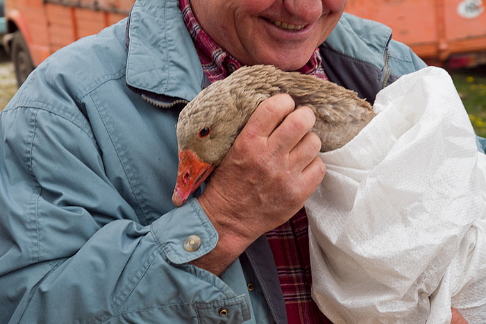 Benkovački sajam 10. travnja 2013, Foto: Leo Banić